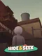 Hide & Seek
