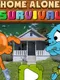 Home Alone Survival