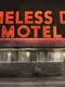Homeless Dog Motel