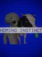 Homing Instinct