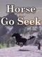 Horse and Go Seek