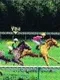Horse Racing Creating Derby