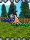 Hubert Catching