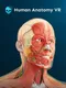 Human Anatomy VR