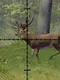 Hunting Sniper
