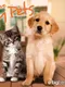 I Love My Pets