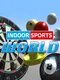 Indoor Sports World