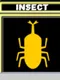 Insect