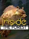 Inside the Forest