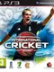 International Cricket 2010