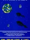 Invasion Orion