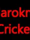 Jarokn Cricket