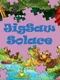 JigSaw Solace
