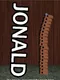 Jonald '06 or How a Tiny Horse Living in New York City Raised 250 US Dollars So They Could Buy a Nintedo Woo On Launch Day