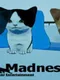 Kitten Madness