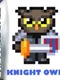 Knight Owls