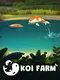 Koi Farm