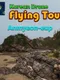 Korean Drone Flying Tour Anmyeon-eup