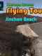 Korean Drone Flying Tour Jinchon Beach