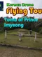 Korean Drone Flying Tour Tomb of Prince Imyeong