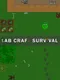 Lab Craft Survival