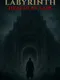 Labyrinth: Dracula's Lair