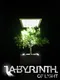 Labyrinth of Light