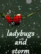Ladybugs and Storm