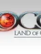 Land of Chaos Online