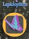 Lepidoptera