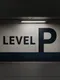 Level P