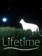 Lifetime