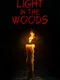 Light in the Woods