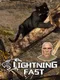 Lightning Fast