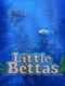 Little Bettas