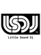Little Sound Dj