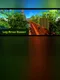 Log Drive Runner