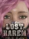 Lost Harem