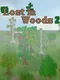 Lost In Woods 2