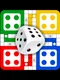 Ludo Master