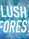Lush Forest