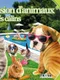 Ma Pension d'Animaux : Bebes Calins