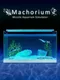 Machorium: Muscle Aquarium Simulator