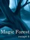 Magic Forest Escape 4
