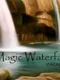 Magic Waterfall Escape