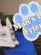 Man's Last Friends