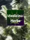 Medicinal Herbs: Cannabis Grow Simulator