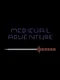 Medieval Adventure