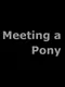Meeting a Pony