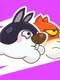Meowoof